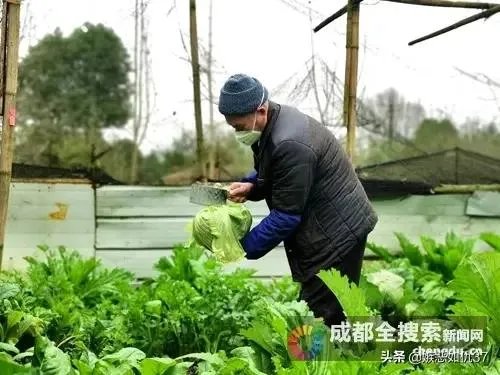 近期,一些不富裕的老年人不考虑养老,而捐出毕生积蓄,该接受吗?