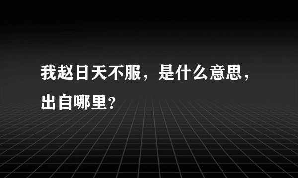 我赵日天不服，是什么意思，出自哪里？