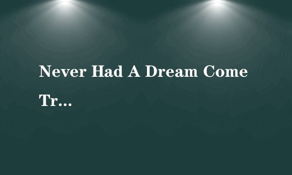 Never Had A Dream Come True的歌词
