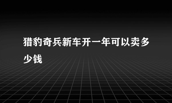 猎豹奇兵新车开一年可以卖多少钱
