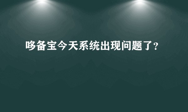 哆备宝今天系统出现问题了？