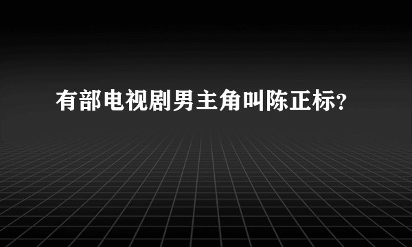 有部电视剧男主角叫陈正标?
