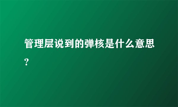 管理层说到的弹核是什么意思？