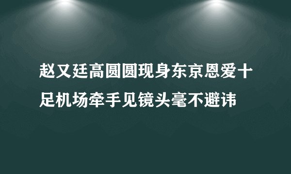 赵又廷高圆圆现身东京恩爱十足机场牵手见镜头毫不避讳