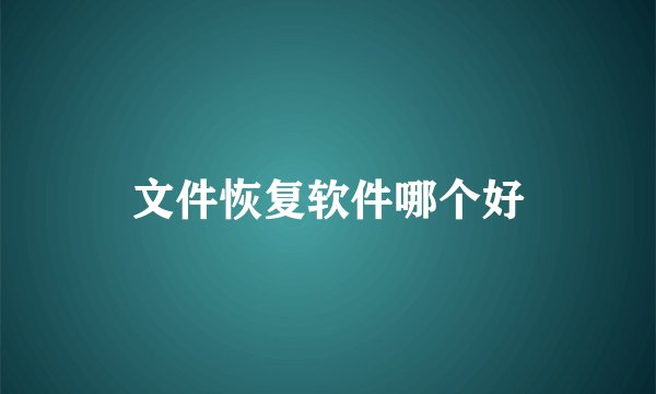 文件恢复软件哪个好