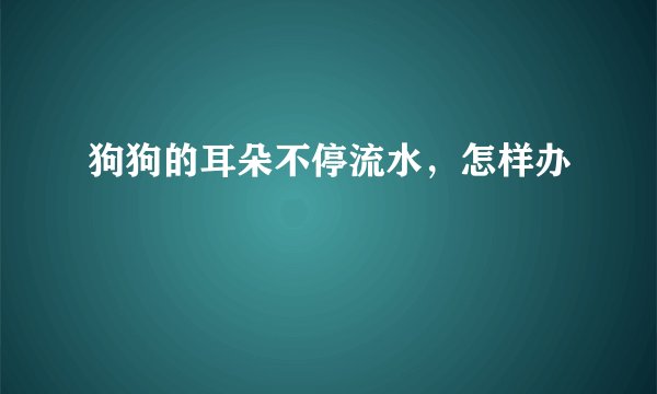 狗狗的耳朵不停流水，怎样办