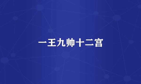 一王九帅十二宫