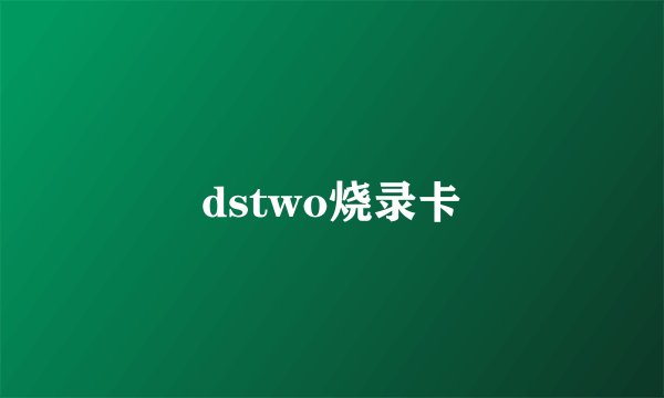 dstwo烧录卡