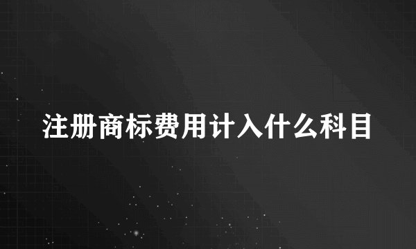 注册商标费用计入什么科目
