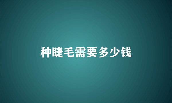 种睫毛需要多少钱