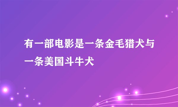 有一部电影是一条金毛猎犬与一条美国斗牛犬