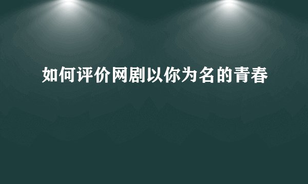 如何评价网剧以你为名的青春