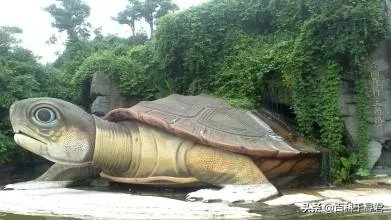 1965年黄河巨鳖事件是不是真实的?有何依据?