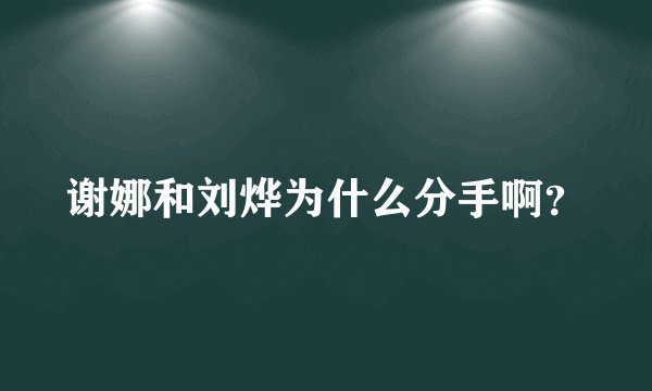 谢娜和刘烨为什么分手啊？