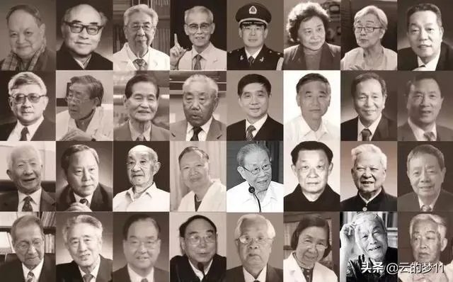 你认为哪些人才是中国真正的明星?