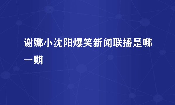 谢娜小沈阳爆笑新闻联播是哪一期
