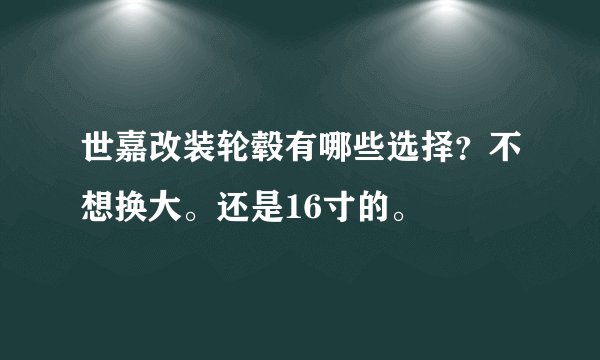 世嘉改装轮毂有哪些选择？不想换大。还是16寸的。