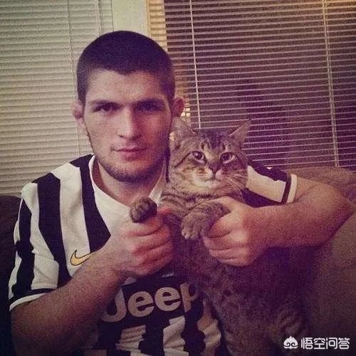 ufc中,小鹰的优点是什么?
