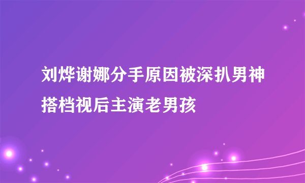 刘烨谢娜分手原因被深扒男神搭档视后主演老男孩