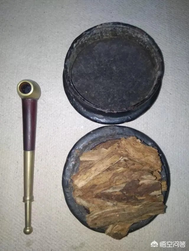 蛇怕烟油