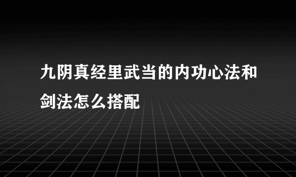 九阴真经里武当的内功心法和剑法怎么搭配
