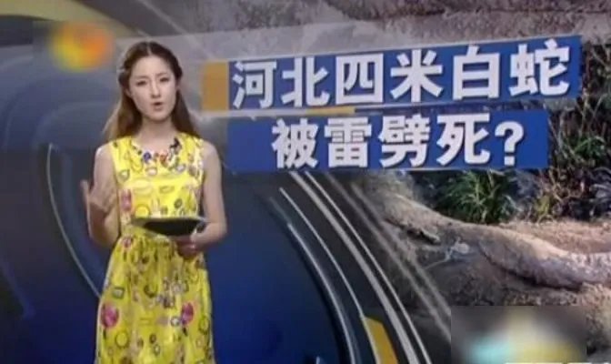 云梦山白蛇渡劫失败被雷劈死:竟被野猪吃掉