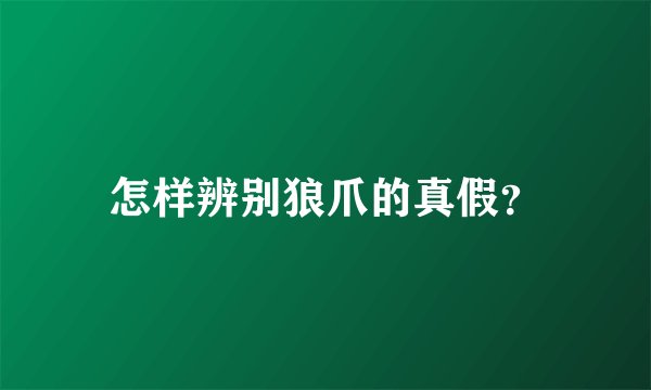 怎样辨别狼爪的真假?