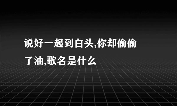说好一起到白头,你却偷偷焗了油,歌名是什么