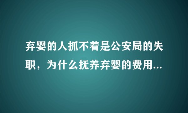 弃婴的人抓不着是公安局的失职,为什么抚养弃婴的费用却由医院承担?