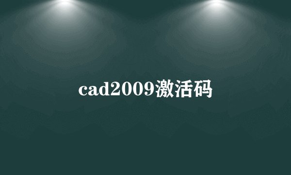 cad2009激活码