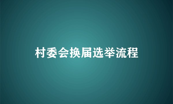 村委会换届选举流程