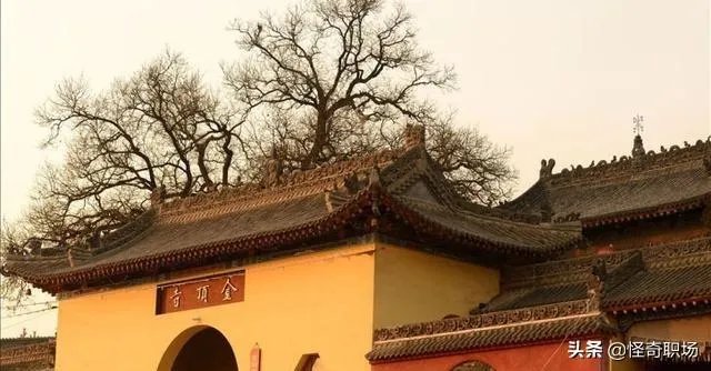 曾经的高考状元,如今都过得怎么样?