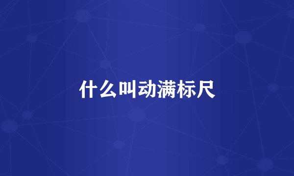 什么叫动满标尺