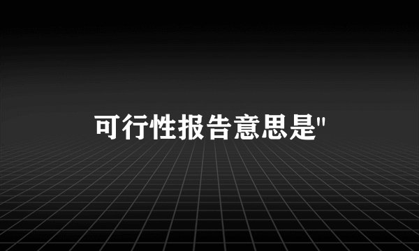 可行性报告意思是