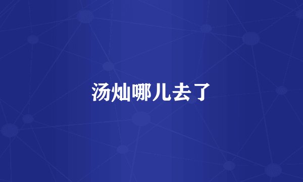 汤灿哪儿去了
