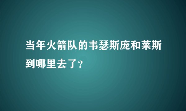 当年火箭队的韦瑟斯庞和莱斯到哪里去了？