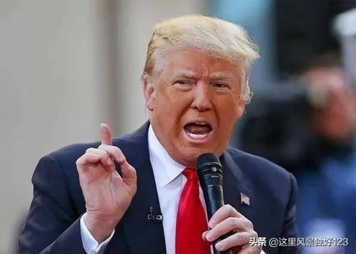 特朗普应该是2020年度最红吧?