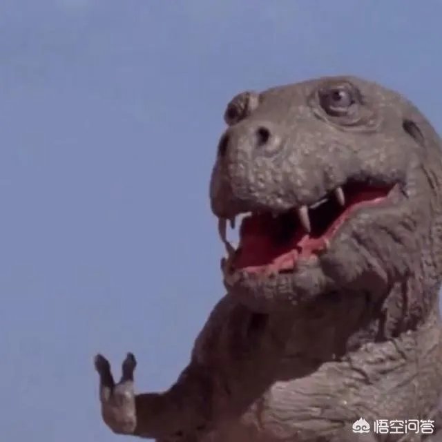 有哪些搞笑的手机壁纸?