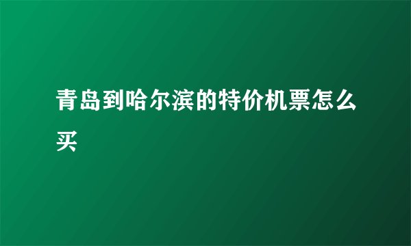 青岛到哈尔滨的特价机票怎么买