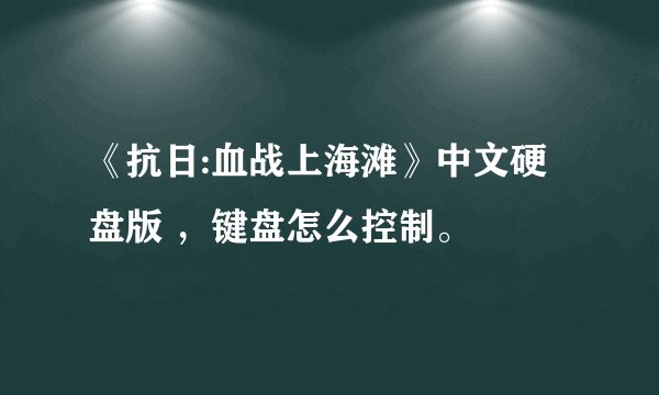 《抗日:血战上海滩》中文硬盘版 ,键盘怎么控制。