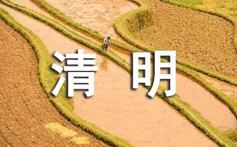 清明节踏青作文