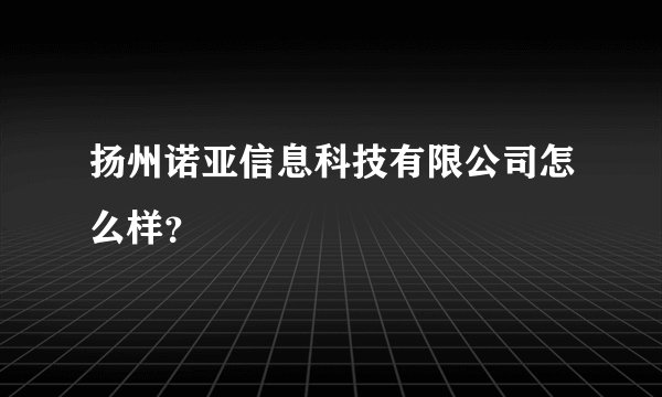 扬州诺亚信息科技有限公司怎么样？