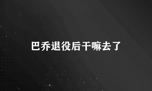 巴乔退役后干嘛去了