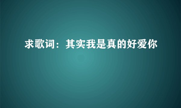 求歌词：其实我是真的好爱你