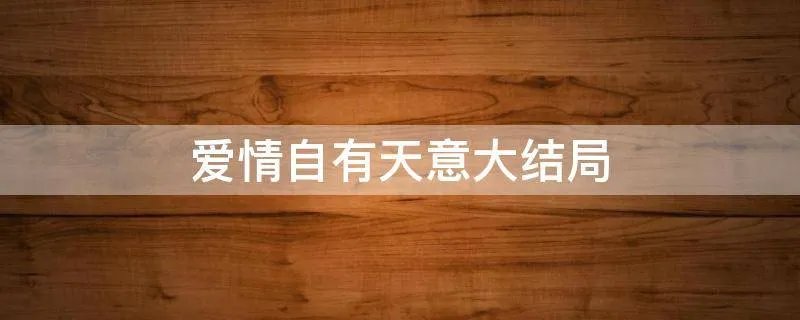 爱情自有天意大结局