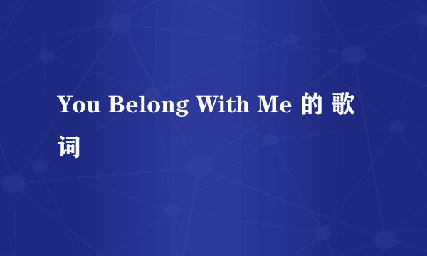You Belong With Me 的 歌词