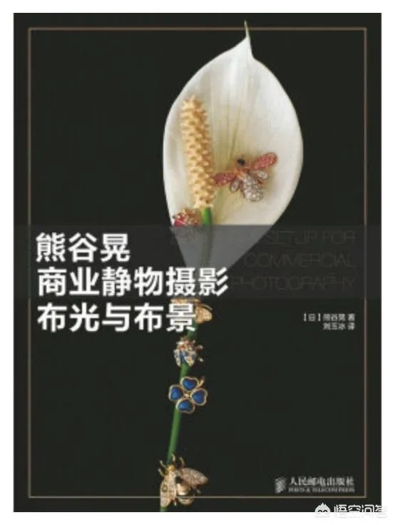 新手应该怎么学摄影?应该从哪里开始学?
