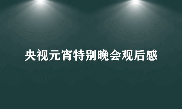 央视元宵特别晚会观后感