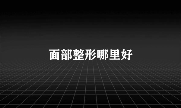 面部整形哪里好