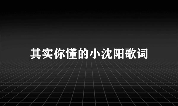 其实你懂的小沈阳歌词